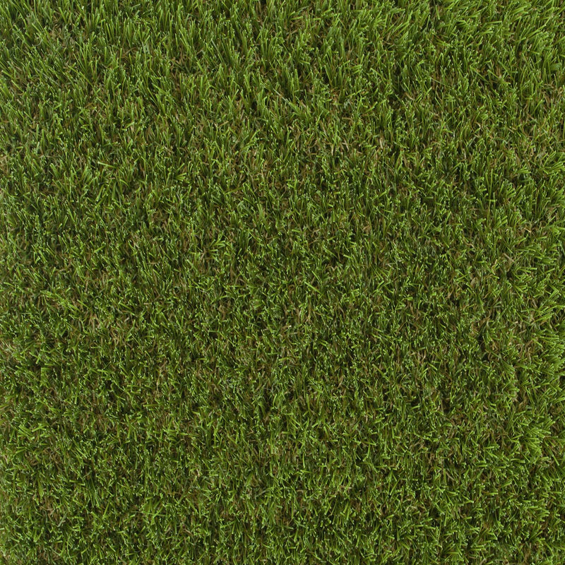 Bellflower 37mm Artificial Grass